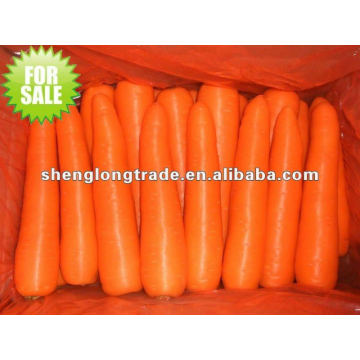 zanahoria roja china fresca en cartón de 10 kg